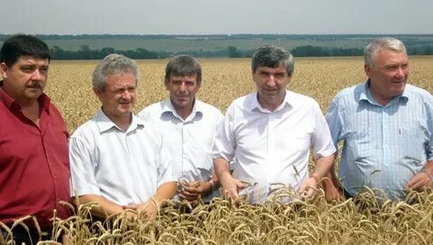 Октябрьское ставропольского