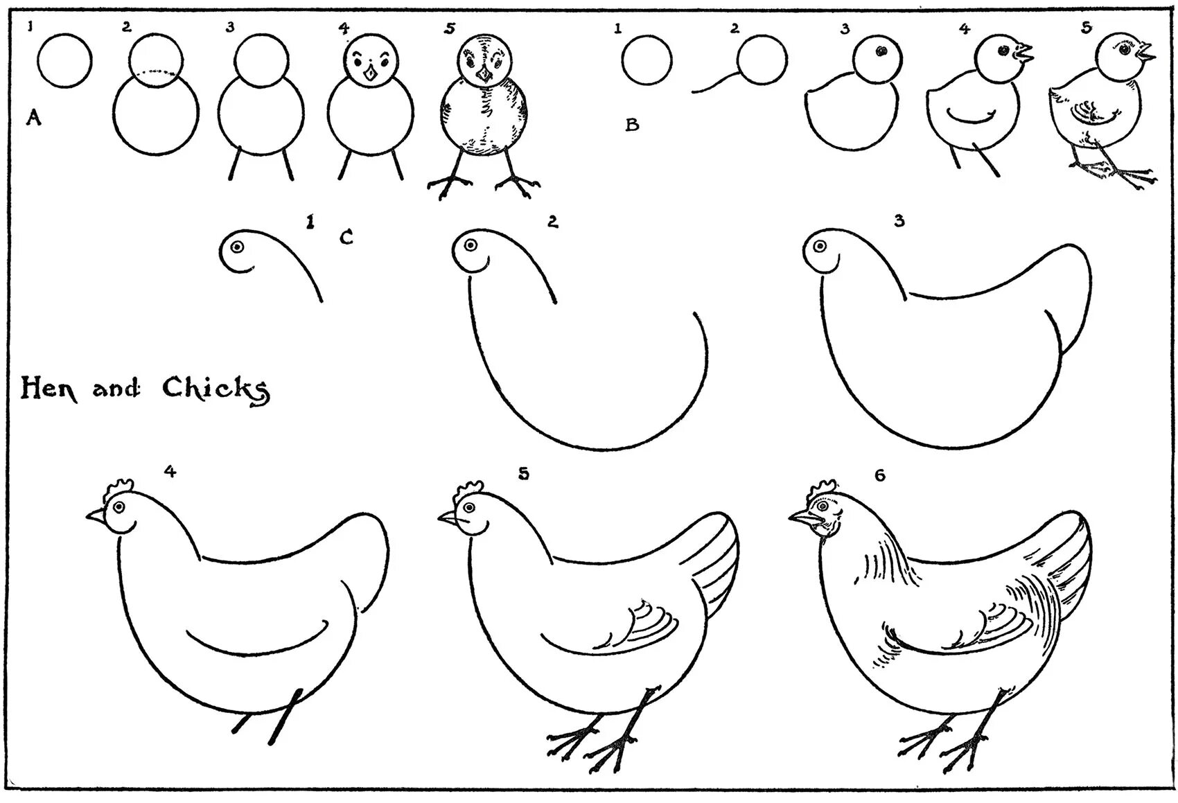 Поэтапное рисование курицы. Курица рисунок легкий. Поэтапное рисование курицы для детей. Курица рисунок карандашом.