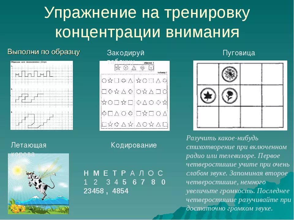 6 упражнений на внимание. Упражнения на концентрацию внимания. Упражнения на развитие концентрации внимания. Упражнения на внимательность у взрослого. Упражнения для улучшения концентрации внимания.