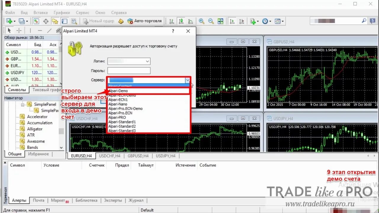 Демо счет. OKX демо счет. Alpari Limited mt4. Как открыть демо счет на трейдингвью. Option демо счет