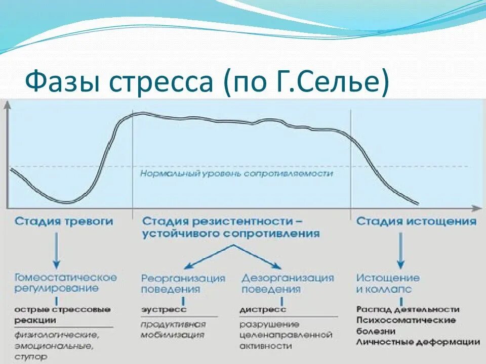 Стадии стресса Селье. III стадию развития стресса (по Селье) отличает. Три фазы стресса Селье. Стадии стресса в психологии по Селье.