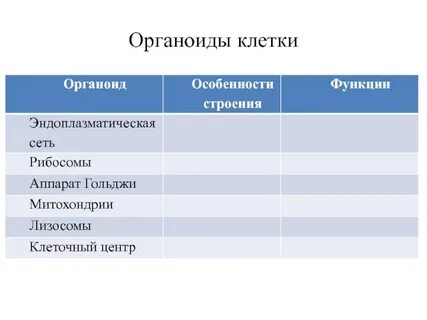 Описание органоидов функции