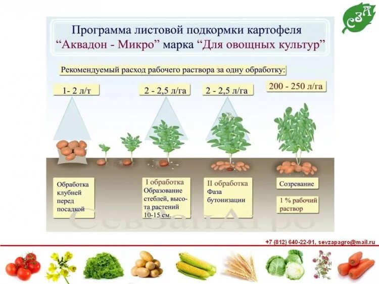 Нужно ли поливать картошку. Схема внекорневых подкормок картофеля. Таблица удобрений для картофеля. Таблица внесения удобрений для картофеля. Схема внесения Минеральных удобрений под картофель.