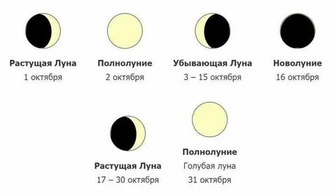 22 октября какой лунный