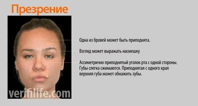 Вызывает презрение человек подлец. Презрение на лице. презрительное выражение лица. эмоции человека презрение. взгляд презрения.
