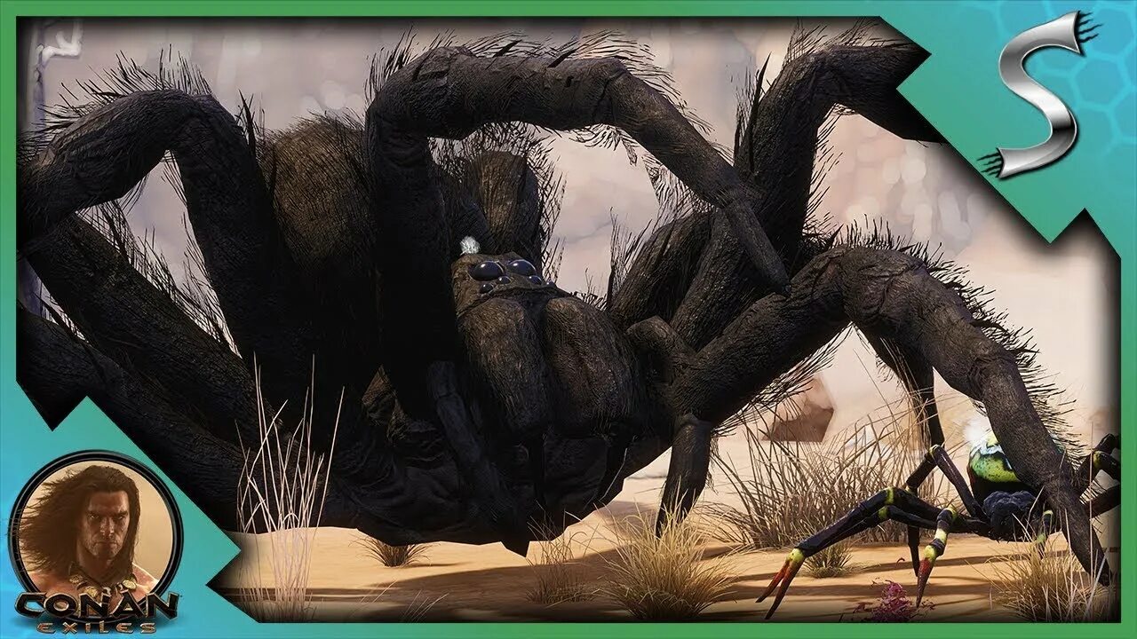 Conan exiles ихор. Conan: exiles гигантский паук. конан эксайлс гигантский паук. демонический паук conan exiles.
