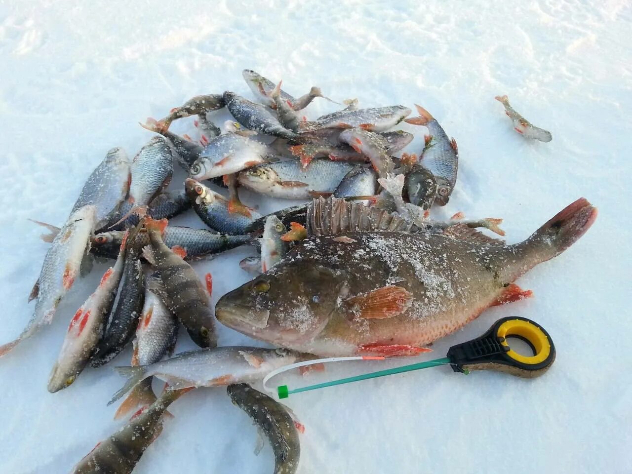 Рыбалка в чувашии. Чебоксарское водохранилище рыбалка. зимняя рыбалка в чувашии. зимняя рыбалка в чувашии на волге. рыбные места чувашии.