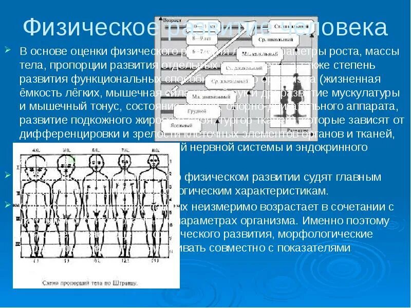 Определение уровня физического развития человека. 1. физическое развитие. оценка показателей физического развития.. оценка физического развития (телосложение). основа физического развития. группы физического развития детей.