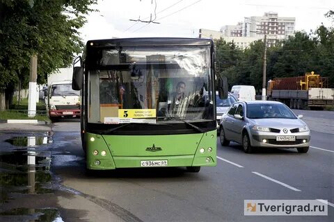 Работа автобус тверь