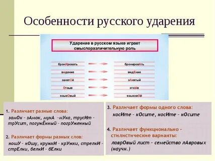 Ударения в русском языке проект