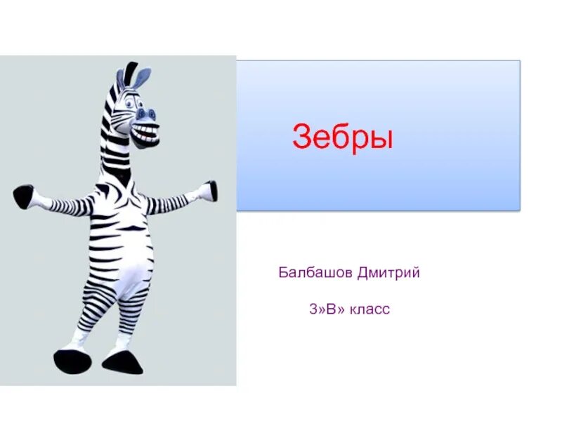 Зебра схема слова. Разбор слова зебра схема. Схема слова зебра. Распредели слова на группы зебра. Зебра схема слова.