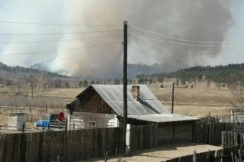 Лесная забайкальский край
