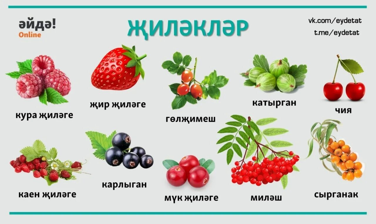 Название ягод на татарском языке. Ягоды названия. Татарские названия ягод. Ягоды по татарски.