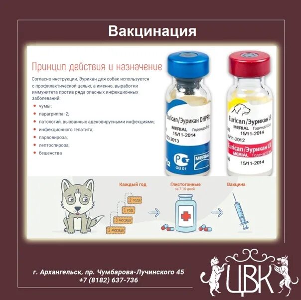Через сколько можно мыть собаку после прививки
