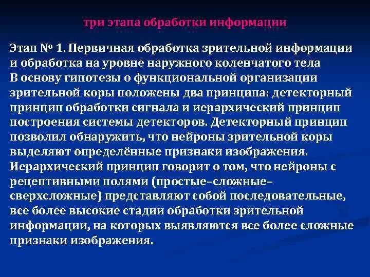 Обработка зрител Ной информации. Переработка информации зрительного анализатора. Этапы обработки зрительной информации. Обработка зрительной информации в ЦНС. Переработка информации в зрительной коре