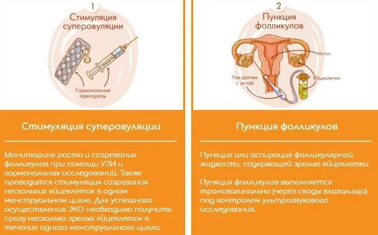 Стимуляция суперовуляции схема. Стимуляция суперовуляции при эко. Эко стимуляция яичников. Стимуляция суперовуляции УЗИ. Болят яичники стимуляция