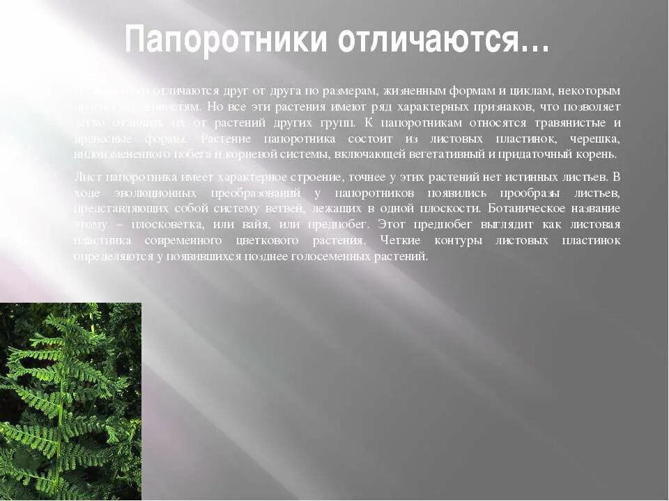 Какие жизненные формы папоротников. Жизненная форма папоротниковых. Папоротник отличия от щитовника. Папоротники отличие от остальных растений. Как отличить папоротник от других растений.