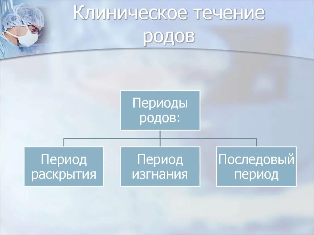 Течения род. Клиническое течение родов. клиническое течение периода раскрытия. периоды течения родов. периоды родов. клиническое течение родов.