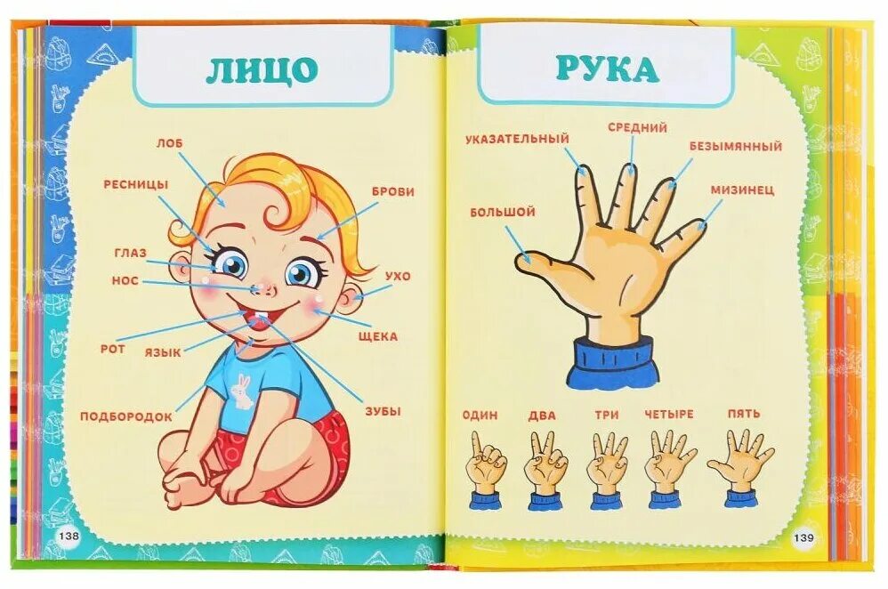 Годовой курс занятий для детей 3-4 лет далидович с. А. Годовой курс занятий для детей 0-1 лет. А. Книга а4 умка (полный годовой курс занятий) м.