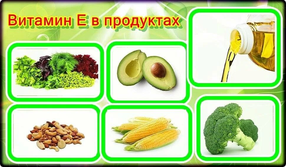 Какие продукты содержат витамин е. Витамин е продукты. витамин е где содержится. в каких продуктах содержится витамин е. продукты содержащие витамин e.