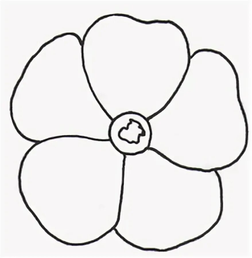 Pin on Learn & Do: Fused Glass Poppy drawing, Flower drawing, Poppy template