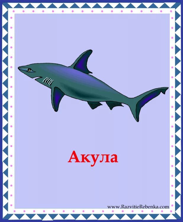 карточка акула. азбука акула. стих про акулу. схемы первый класс азбука. буква а акула.