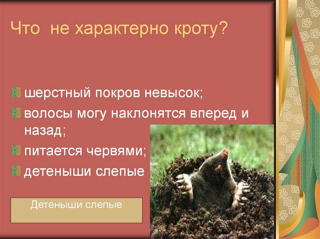 Не характерно. Что характерно. Что для меня не характерно?.