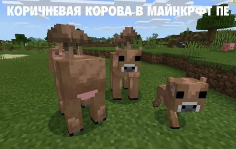 Коричневая грибная корова