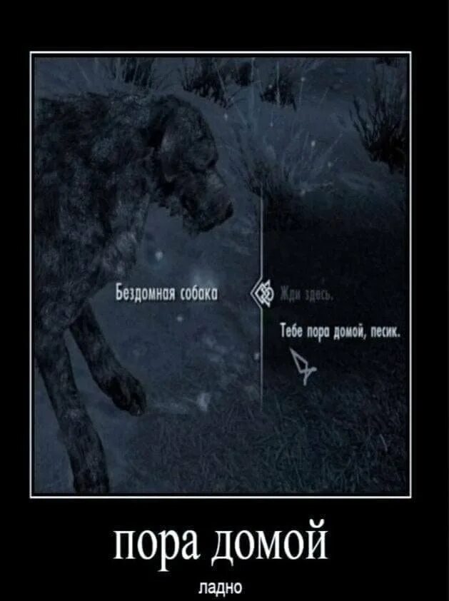 Все гении немного странные. Немного странный и черный юмор (15 фото). Все мы немного. Немного странный. Чёрный юмор про ромку.