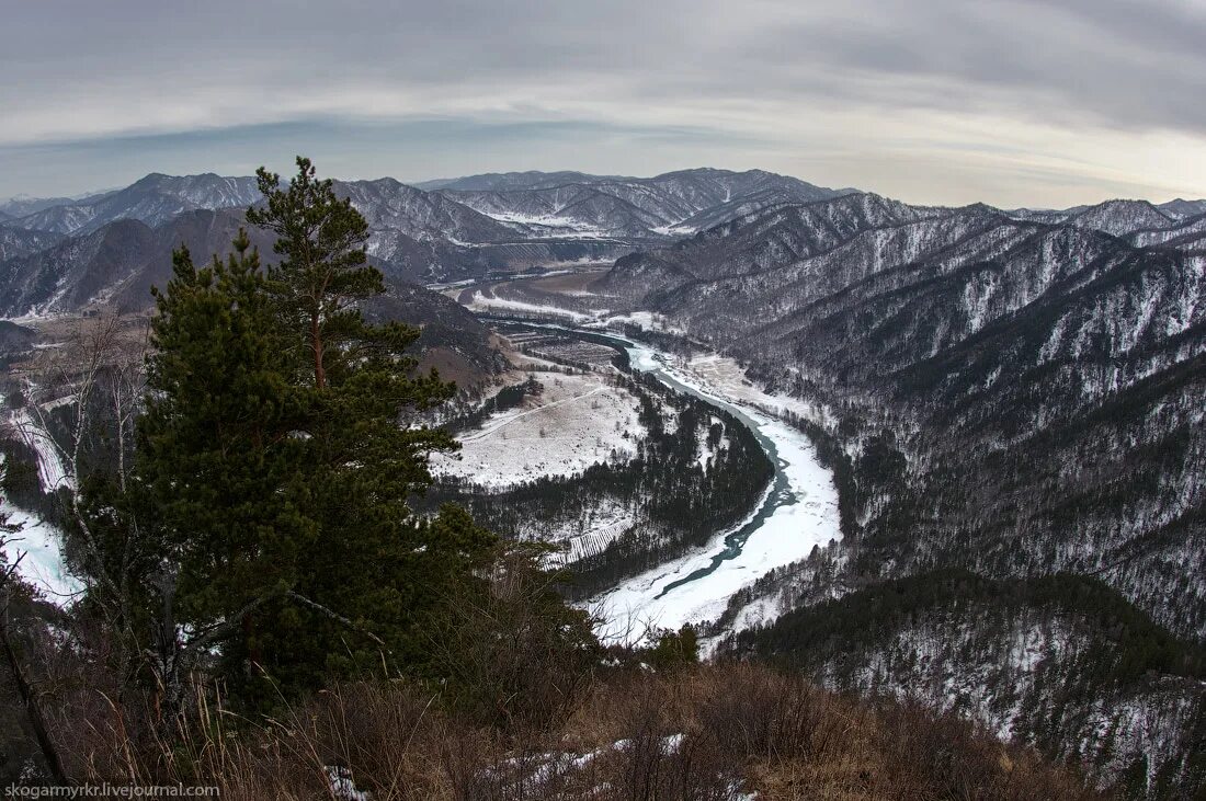 чемал лес. погода в энгельсе. ороктой горный алтай. чемальская гэс республика алтай. чемальская гэс горный алтай рыбалка.