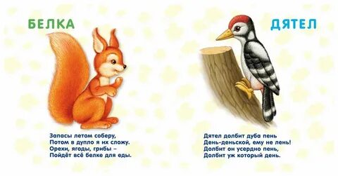 Стих лесной зверь