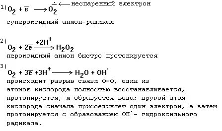 Пероксидный радикал