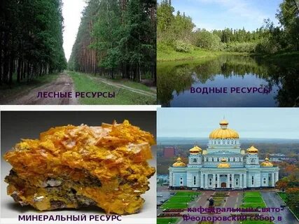 Природные богатства мордовии