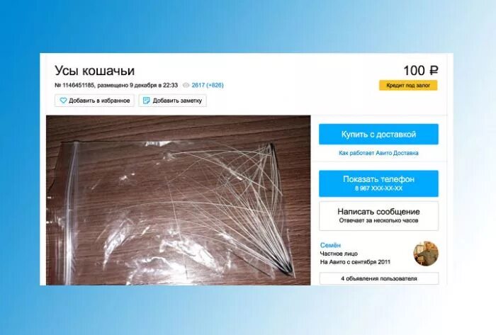 кошачьи усики в кошельке. кошачий ус приметы. дурак зато красивый. кошачий ус в кошельке. продам усы кота.