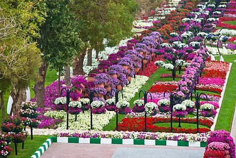 Al garden