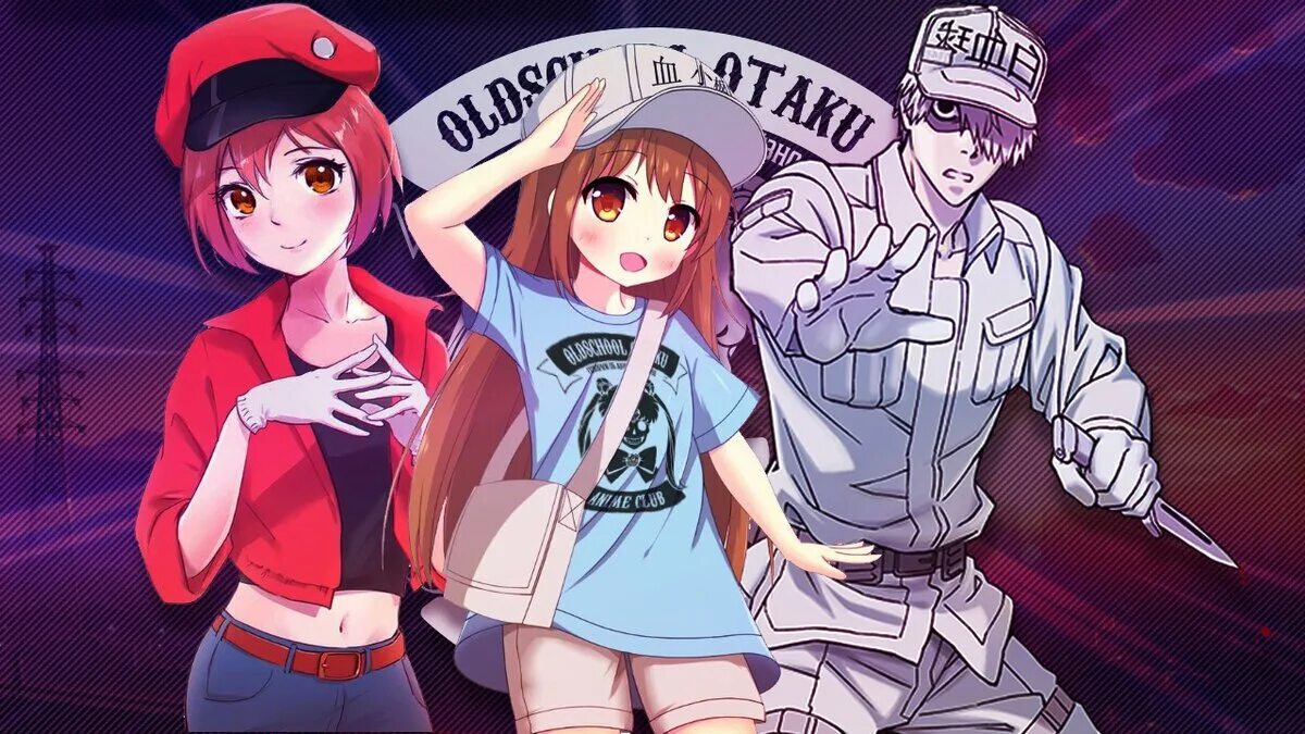 Хай вайфу. Hataraku Saibou тромбоцит. Hataraku Saibou эритроцит. Hataraku Saibou эритроцит и лейкоцит. Клетки за работой арты.