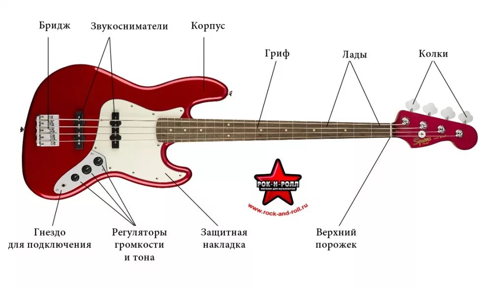 Какие гитары лучше звучат. Строение бас гитары 4 струны. Строение электро бас гитары. Строение бас гитары Ibanez. Бас гитара Хофнер 500 чертежи.