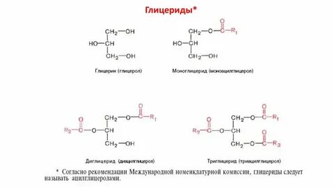 Глицериды