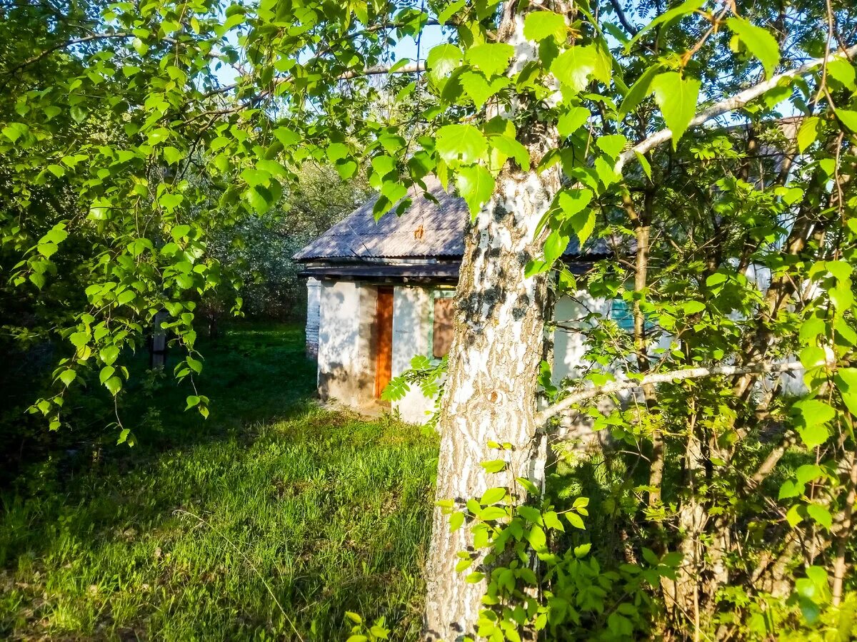 Недалеко была деревня
