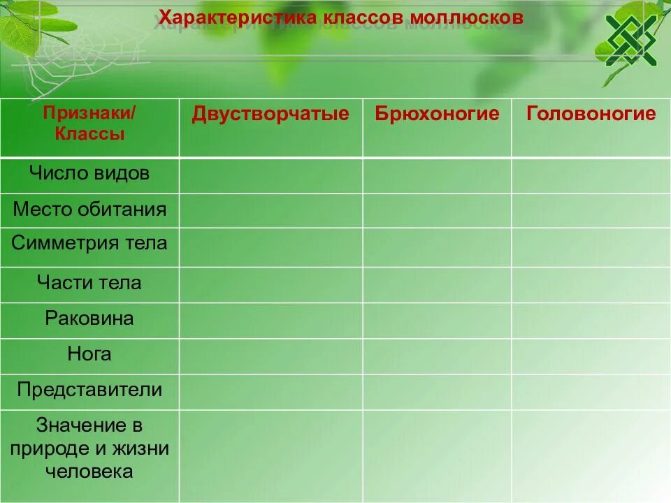 Характеристика классов моллюсков. Характеристики классов молюск. Характеристика классов моллюсков таблица. Характеристика класса моллюсков. Брюхоногие двустворчатые головоногие таблица