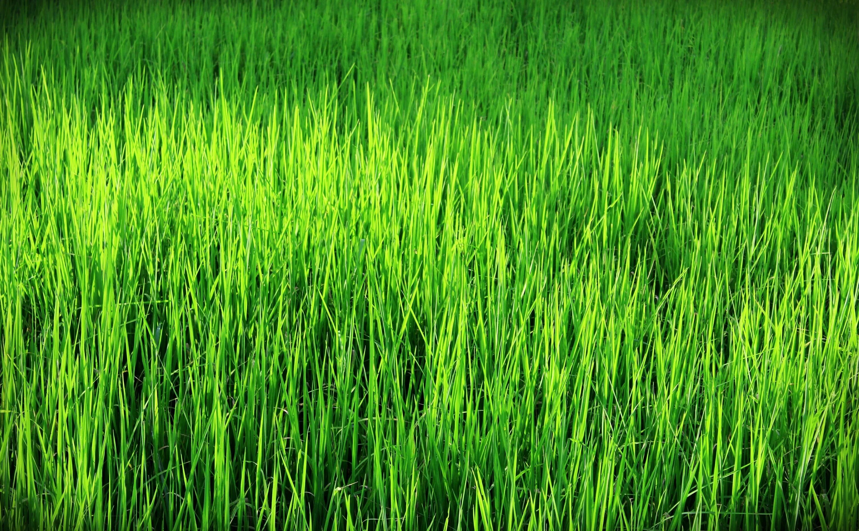Background 0 0