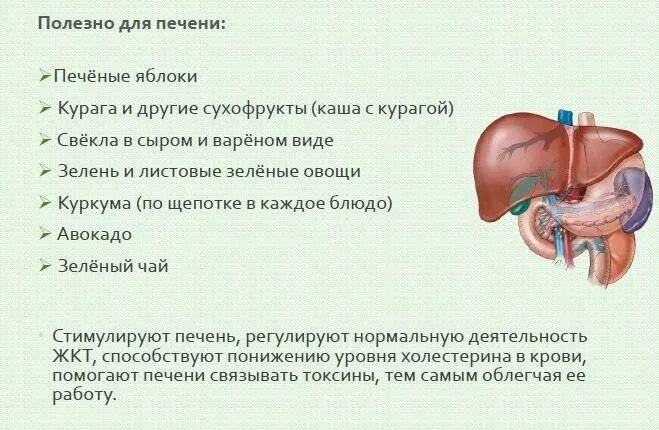 Можно ли печень при поджелудочной. Продукты вредные для печени и поджелудочной железы список. Что полезно для печени. Полезные продукты для печени и поджелудочной. Блюда полезные для печени.