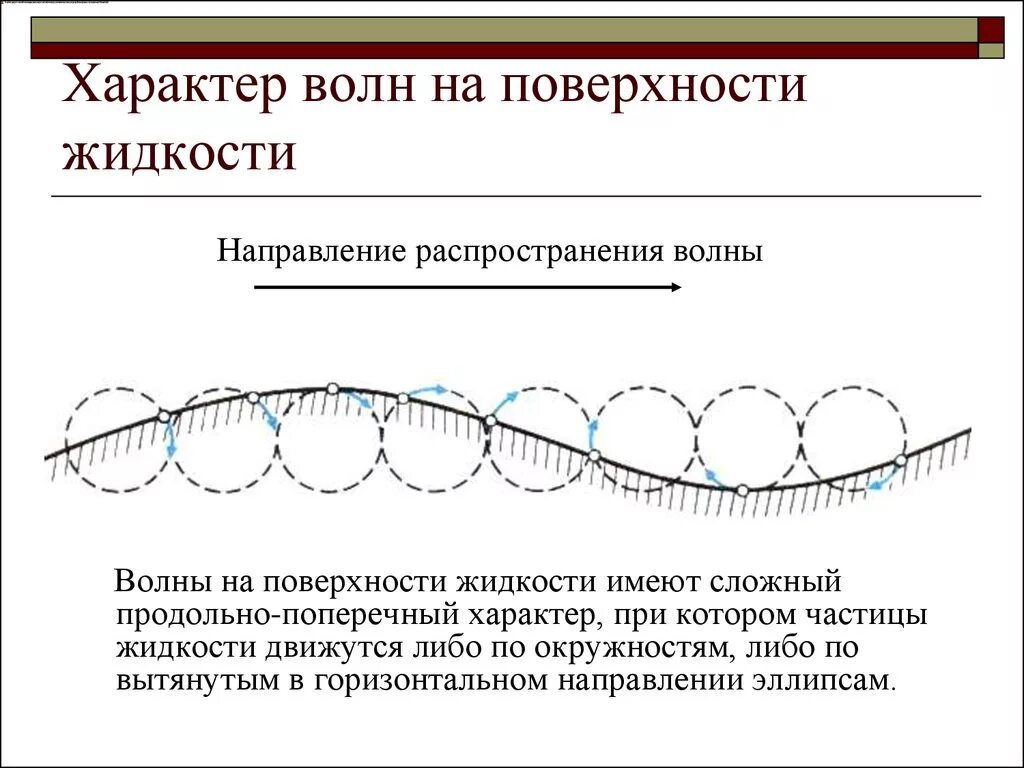 Из каких частей состоит волна