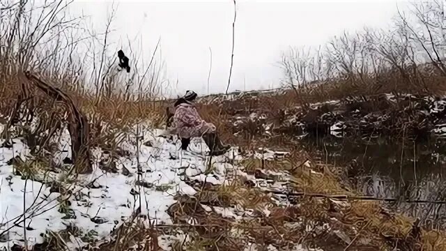 Пытающаяся поймать