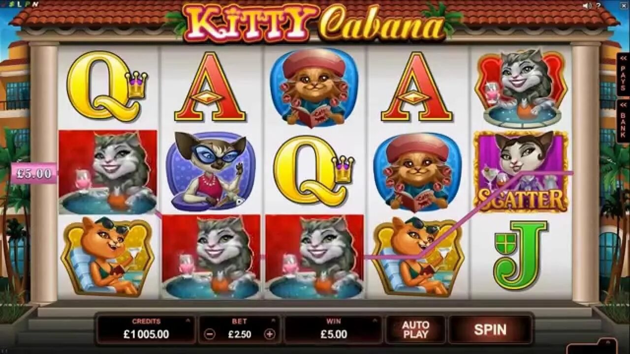 Микрогейминг слоты gpk1. Microgaming слоты. Kitt слоты казино. Slots Palace Casino. Слот Марлин Микрогейминг.