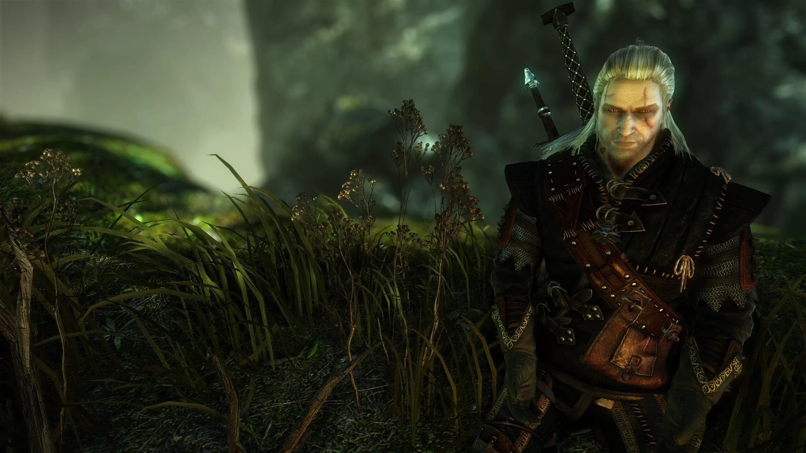 Ведьмак 1 гвалхир. Ведьмак эльф йорвет. Геральт из ривии ведьмак 2. Ведьмак 1 зубы. Ведьмак 1 зубы.