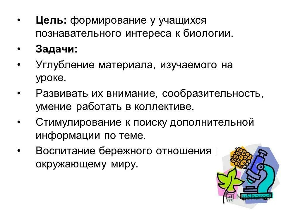 методики формирования познавательного интереса. задачи формировать познавательный интерес. математические представления дошкольников этапы. формирование познавательного интереса. задачи формировать познавательный интерес.