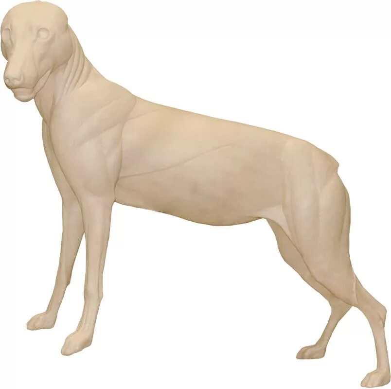 Красивый портновский манекен. Манекен для одежды. Авторские манекены. Авторские манекены. Манекен детский белый.