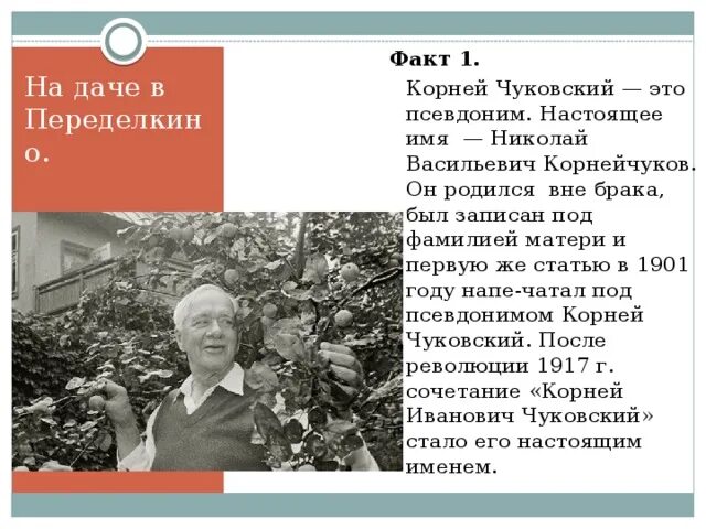 Интересные факты о корнее чуковском. Камней ивановиччуковский2 класс. Интересные факты из жизни чуковского для 2. Интересные факты о орнее чукоувском. Рассказ о творчестве чуковского.