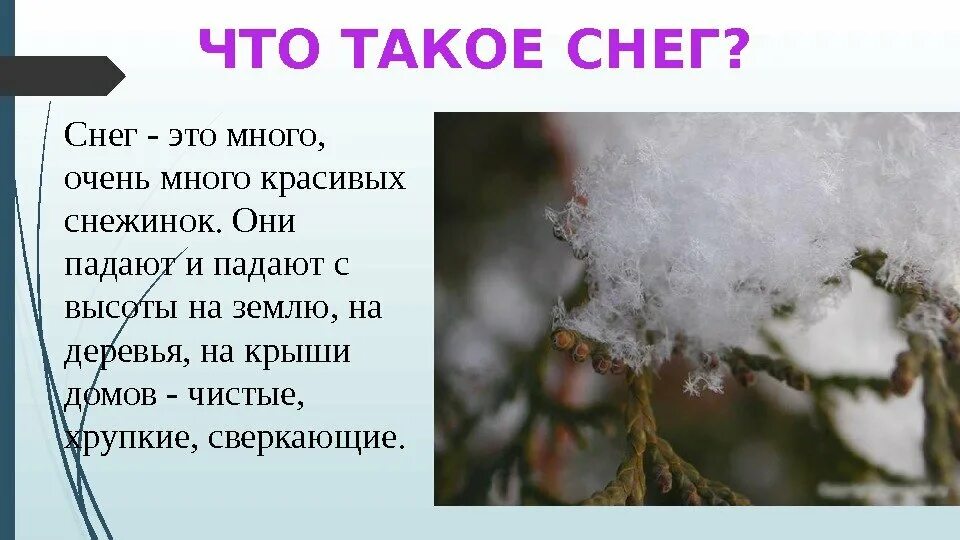 Снег снегу чем являются выделенные слова. Снег. Что такое снег доклад. Снег для презентации. Проект про снег.